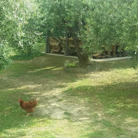 Bed & Breakfast People Castorano (Ascoli Piceno)